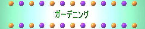 �K�[�f�j���O